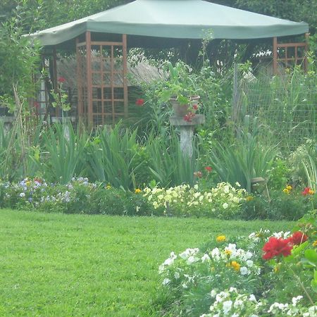 Farm Stay Lackovic Bilje Exterior foto